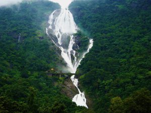 Dudhsagar-Waterfalls-Goa